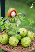 Herbstdekoration mit Kastanienschalen und Filz-Strickpuppe auf Vintage Untersetzer