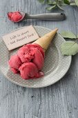 Raspberry sorbet in a ice cream cone