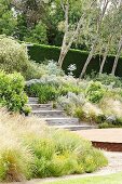 Wooden stairs on a slope overgrown with bushes and ornamental grasses in the garden