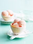 Grapefruit and Aperol Sorbet