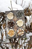 Vintage muffin tin filled with various nuts, sunflower seeds and raisins as a bird-feeding station