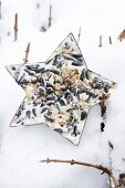 Star-shaped pastry butter filled with bird cake lying on snow