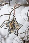 Star-shaped pastry cutter filled with bird cake hanging from branch