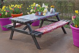 Oilcloth covers on picnic table and benches and brightly coloured pots of spring flowers