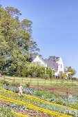 Hotel 'The Manor at Ngorongoro' in the Serengeti, Tanzania, Africa