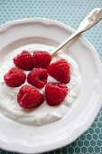 Vanilla yogurt with raspberries on a blue patterned background