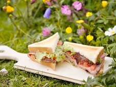 Sandwiches in der Wiese, Berner Oberland, Schweiz