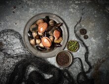 An arrangement of various fresh mussels