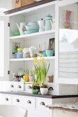 Sprouting jars, crockery and spring flowers on white dresser