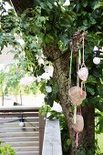 Large pebbles in plant hangers suspended from tree