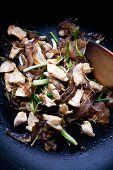 Pad Hed Hu Nuh Gai Sai King (mu err mushrooms with chicken and ginger, Thailand)
