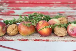 Festive arrangement of apples, walnuts and juniper sprigs