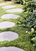 Garden path made of ingrown tread plates
