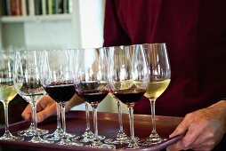 Weinverkostung: Person serviert Rot- und Weissweingläser auf Tablett