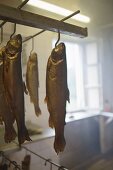 Smoked trout hanging on hooks