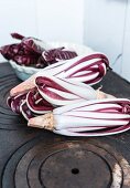 Radicchio treviso n a cast iron hob and in a porcelain bowl