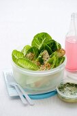 Lunch Box Legends - Guilt-Free Caesar Salad