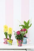 Spring flowers in terracotta pots covered in colourful fabrics