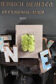 Book binding decorated with green carnation surrounded by vintage letter ornaments