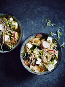 Buchweizennudelsuppe mit Tofu, Radieschen, schwarzem Sesam, Algen und Kresse (Japan)