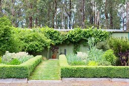 Cut box hedges as bed borders next to the lawn path to the garden house with trees