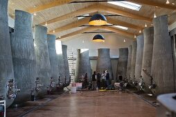 A modern vinification cellar with organically shaped concrete tanks (Beauregard, France)