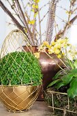 Mind-your-own-business plant inside Easter egg made of gold wire arranged with other plants