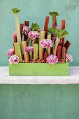 Ikebana arrangement of rhubarb stalks and carnations