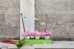 Pink carnations in miniature zinc buckets and rhubarb stalks in green tray