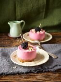 Blackberry mousse cakes on a pool of vanilla sauce
