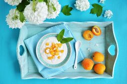 Joghurt mit Aprikosen und Minze