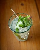 Steinhäger tonic with cucumber and dill