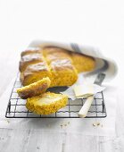 Pumpkin Scones