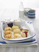 Scones mit Clotted Cream und Marmelade