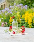 Chervil in a glass bottle on a garden table