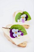 Olive baguette topped with alpine cheese, bloodwort leaves and tufted pansies