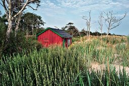 Region Österlen bei Ystad, unheimlicher Ort, Kurt Wallander, Südschweden