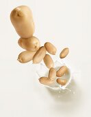 Peanuts falling into peanut milk