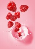 Raspberries falling into raspberry milk