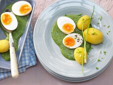 Soft-boiled eggs with spinach sauce and potatoes