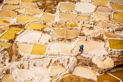 A woman harvesting salt in the salt pans of Maras, Sacred Valley, Peru, South America