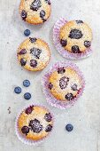 Muffins with oats, blueberries and blackberries