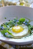 Fried egg with blue edible flowers