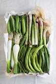 Spring vegetables (peas, green asparagus, spring onions and green beans) in a box