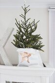 Kleiner Weihnachtsbaum in Papiertüte mit Sternmotiv