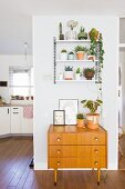 Old wooden chest of drawers below plants on wall-mounted shelves