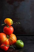 Verschiedene Tomaten vor schwarzem Hintergrund