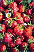 Fresh strawberries (full-frame)