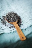 Chia seeds on a wooden spoon