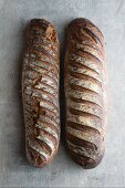 Pain d'Antan (French country bread)